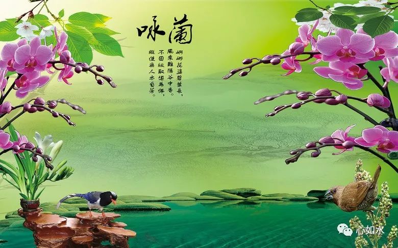 知足的人最好命