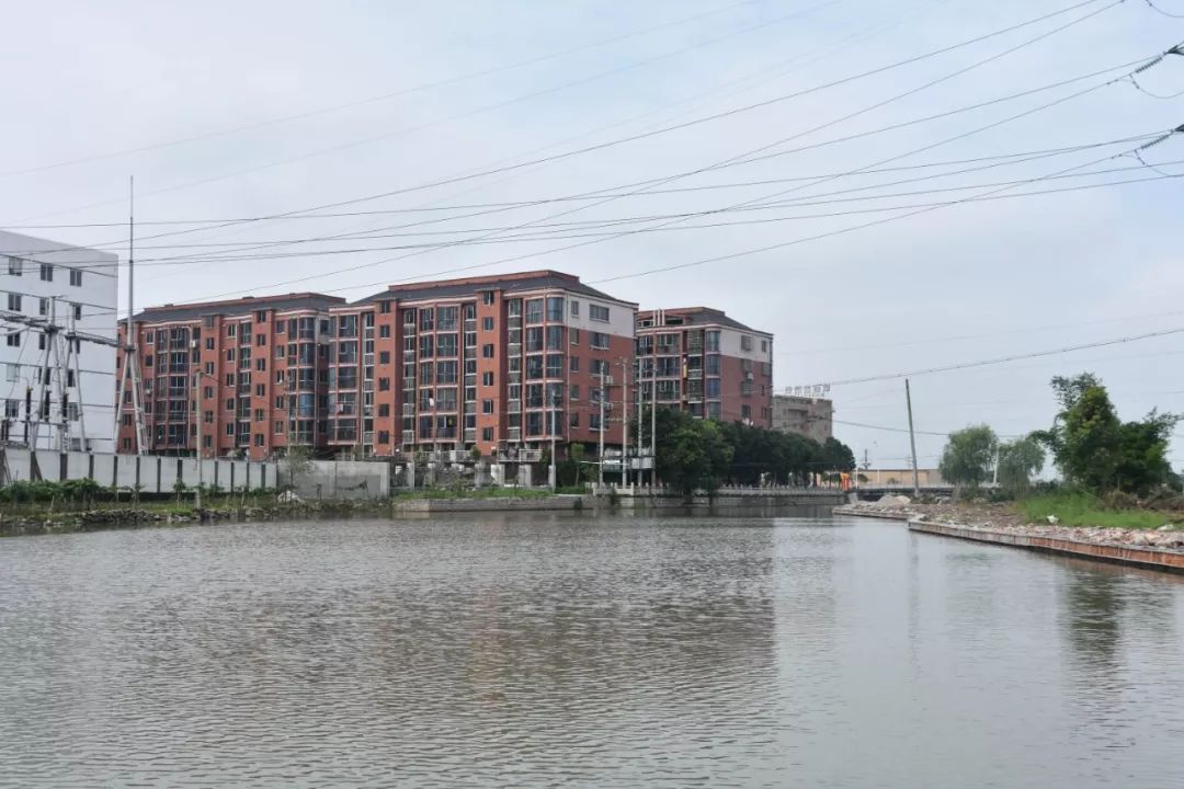 副县长肖剑赴钱库镇望里镇问水查情