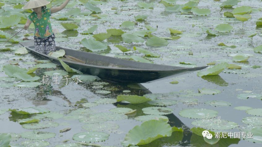 云南台奔赴《睦邻》缅甸的拍摄历程与心得
