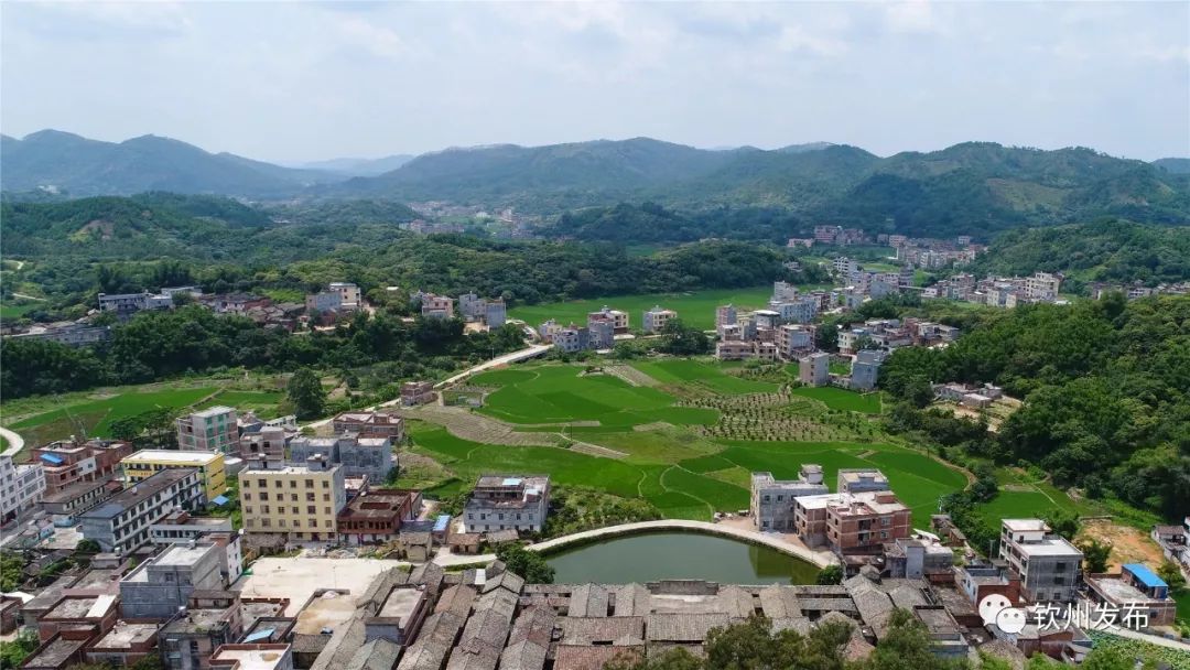 灵山太平镇各村全景图