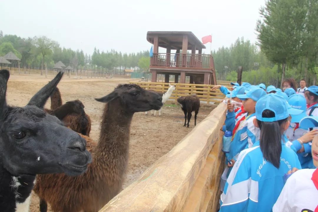 6月24日02我與動物零距離人與自然共相處研學旅行活動