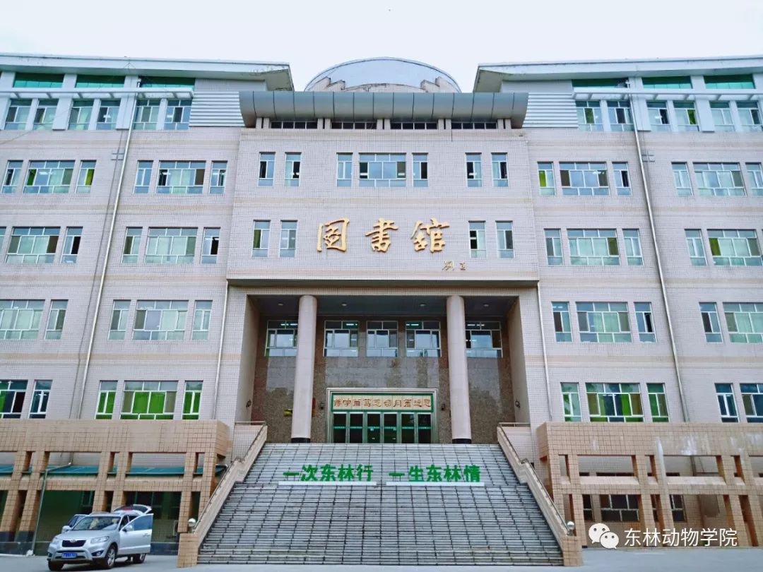 重走东林重回四年前的你