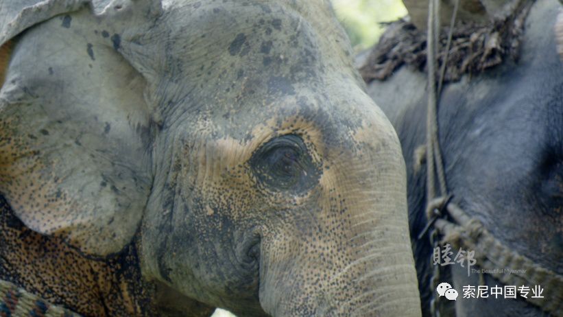 云南台奔赴《睦邻》缅甸的拍摄历程与心得