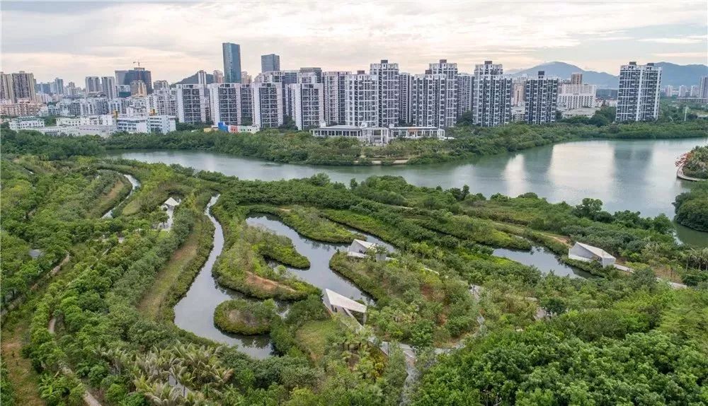 最佳景观奖三亚红树林生态修复工程荣膺国际奖项