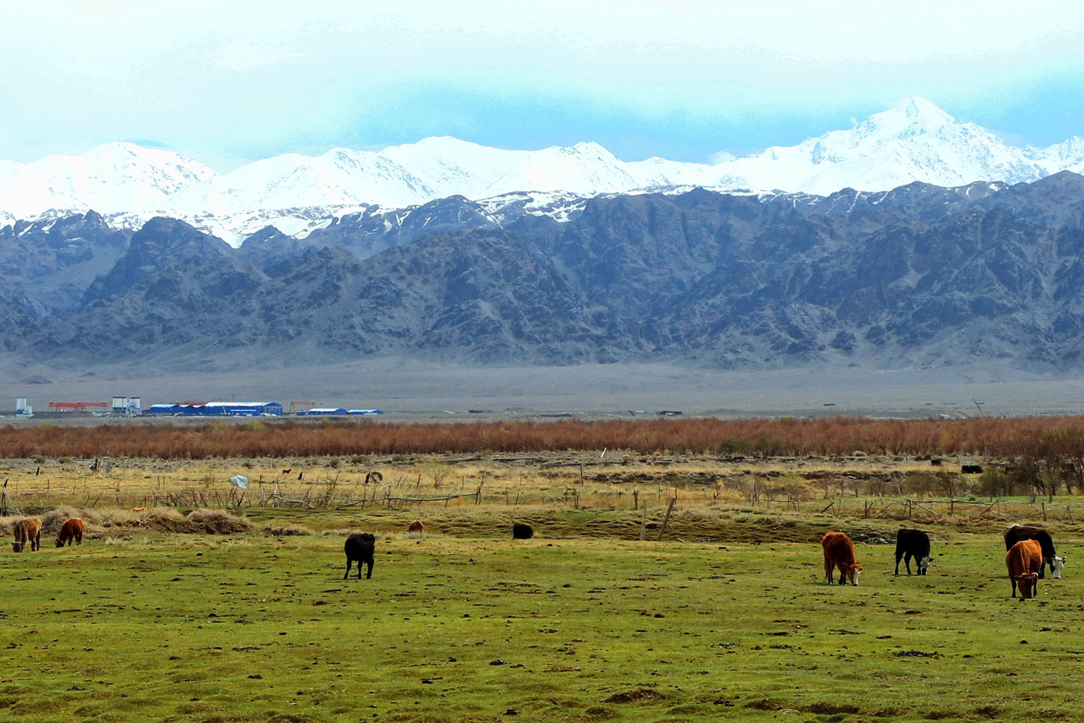图集探寻天山丝路秘境新疆东大门哈密