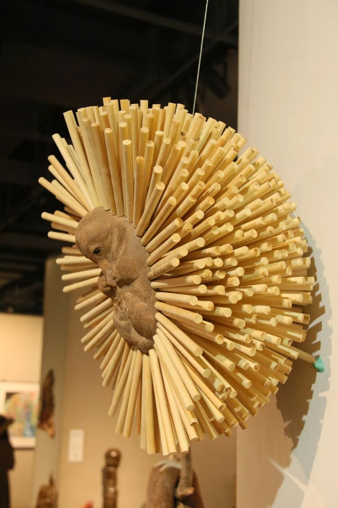 毕业季2019天美造型艺术学院毕业生作品展