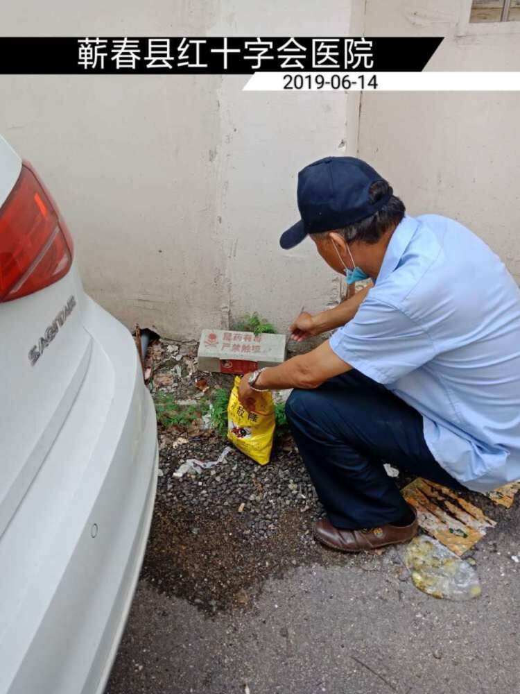 病媒生物防制：城市卫生的新标尺