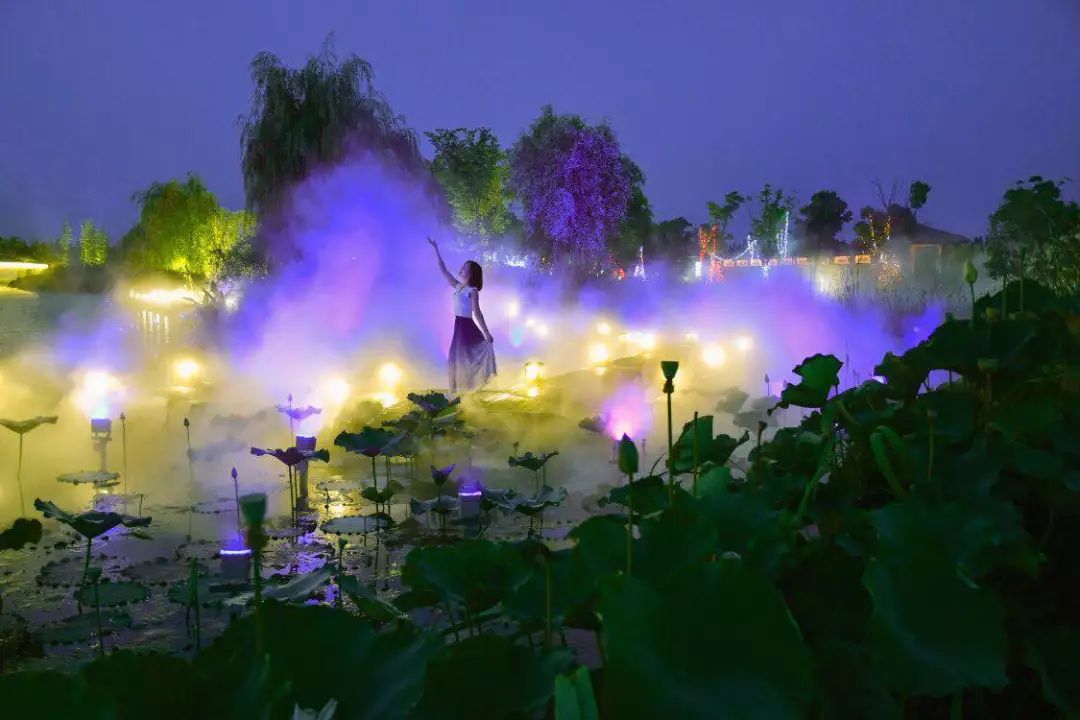 花都开好啦水慢城荷花节开幕今年又有新玩法