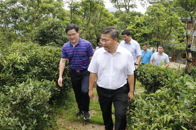 现任广西浦北县长图片