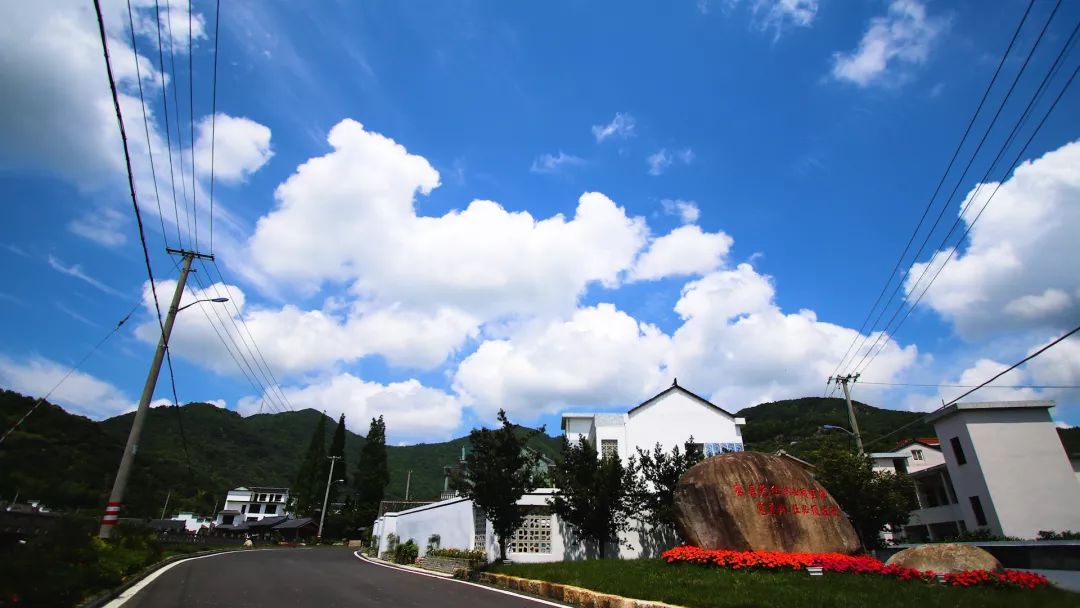 我的名字叫墩岙我很精致