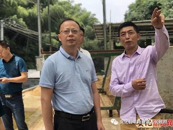 刘勇会到羊角塘镇督查指导工作_安化