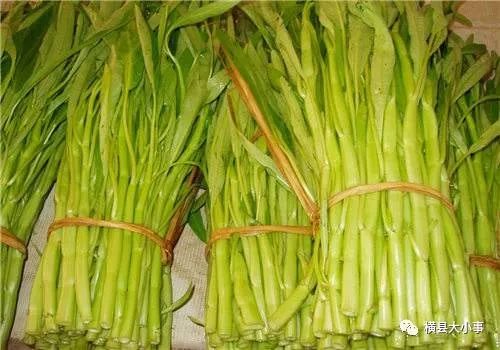平南这种菜正大量上市快来看你可能不知道它竟有这种功效