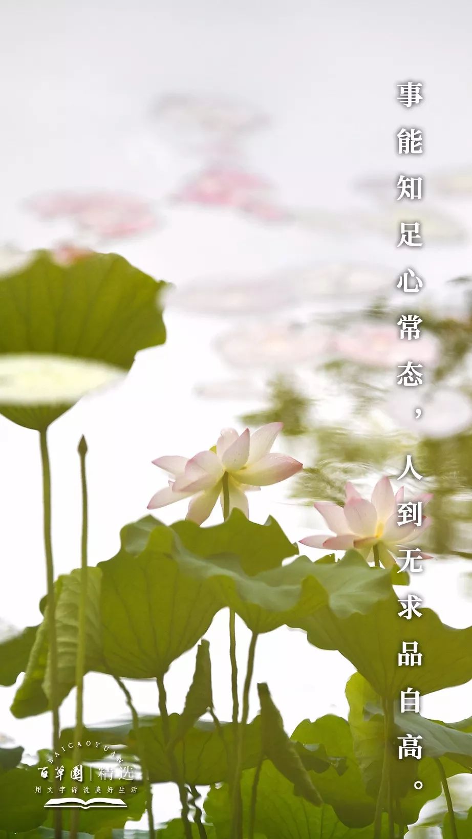 生活禅事能知足心常态人到无求品自高67