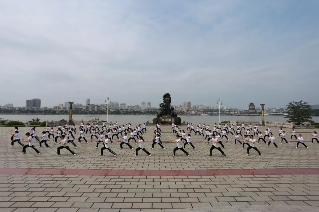 惠州李家拳省级非物质文化遗产扬威世界传统武术赛