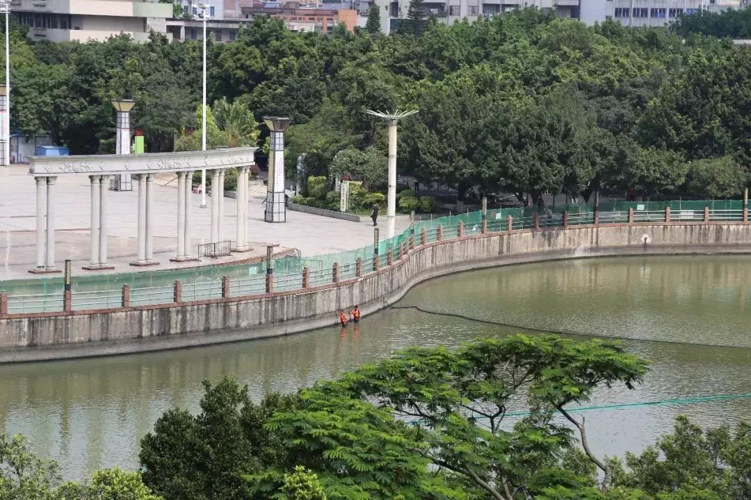 当然是美食大赛啦!_东莞市