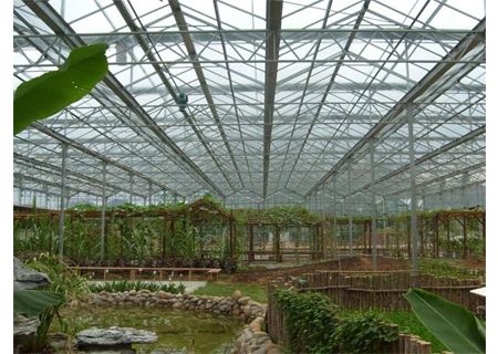 钢结构温室大棚/热镀锌骨架温室大棚