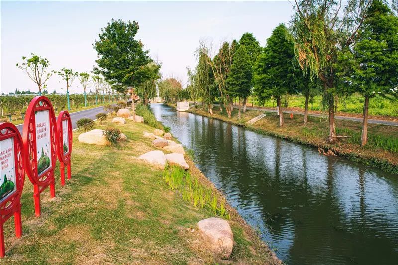 张家港"最美河道"出炉,金港有2条入选!_景观