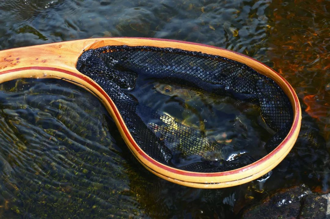 遇见伊春用自己亲手绑制的毛钩飞钓感受着飞蝇钓法的另一番乐趣中