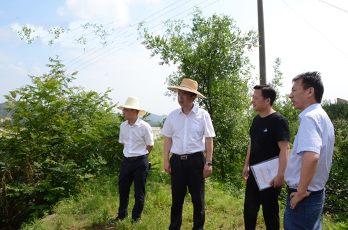 指導雙井鎮蘭花村和平壩災後重建瞭解低莊鎮金湖村山塘蓄水情況察看橋