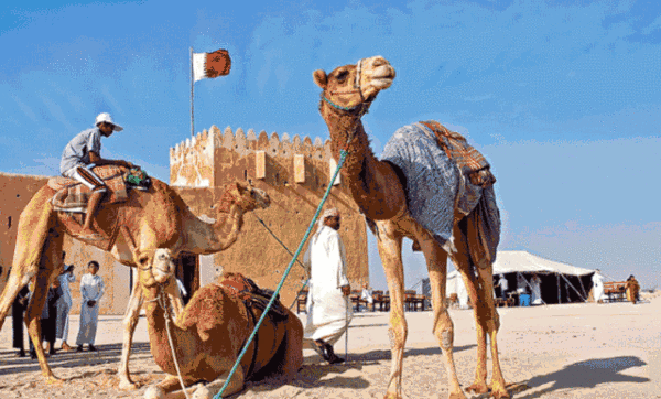 世界壕气排行top1沙漠连着大海甚至连女佣都住豪宅