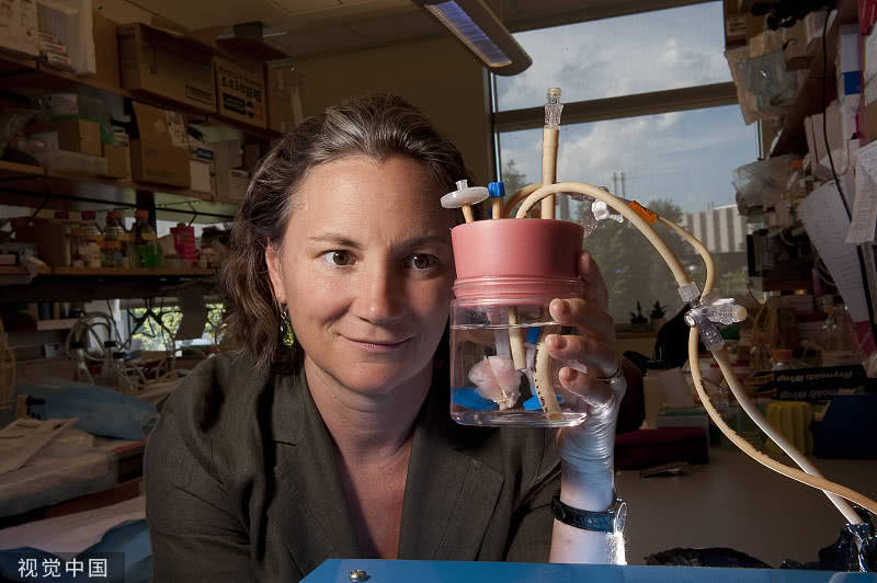 (来自:大福科学)微型人工肺在被植入实验老鼠体内后,人工肺仍能继