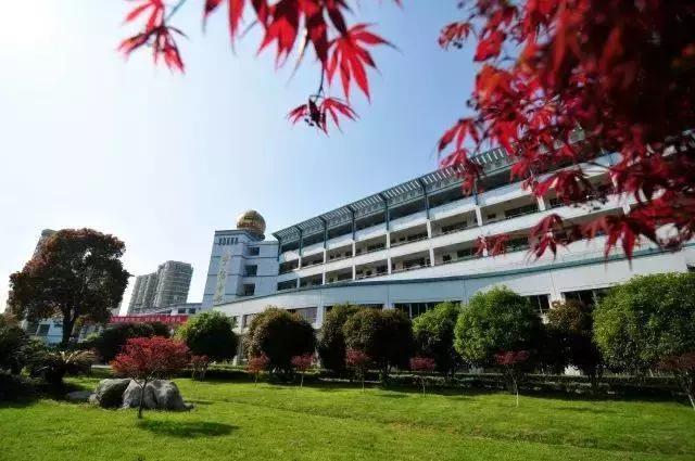 浙江茅盾中学国际部收获多伦多大学墨尔本大学伦敦艺术大学等名校录取