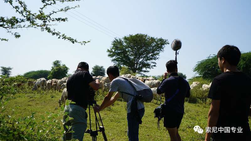 云南台奔赴《睦邻》缅甸的拍摄历程与心得