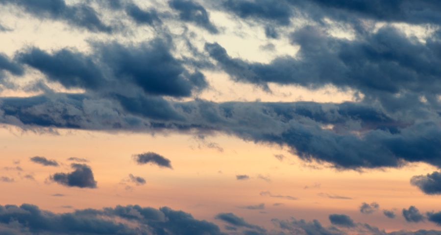 一些家电厂商今年为何纷纷变成“驼鸟”？-家电圈官网