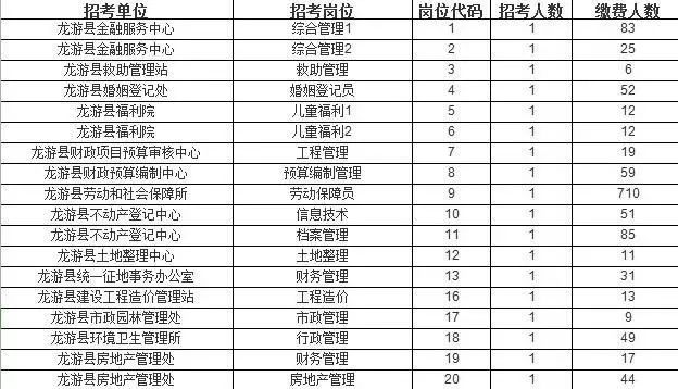 和龙人才网：架起求职者与企业的桥梁