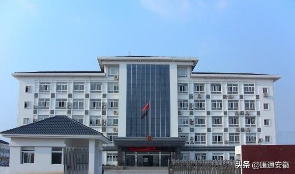 与祖国同岁杨庙镇举行70周岁老党员庆七一活动共话乡镇振兴发展