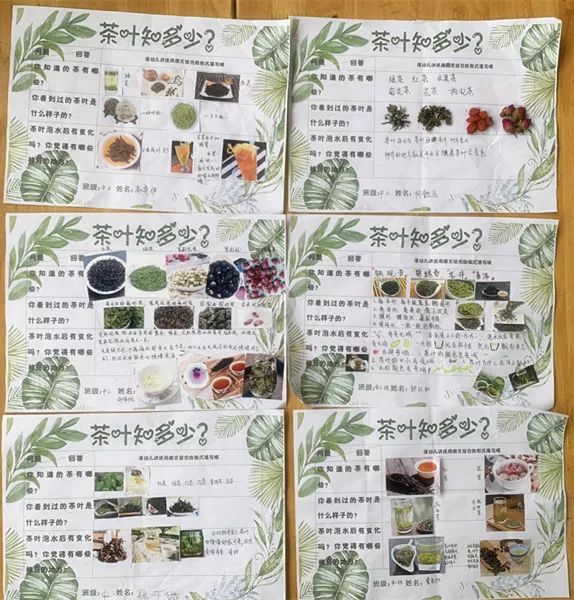 茶叶知多少调查表珍珠奶茶是茶吗?