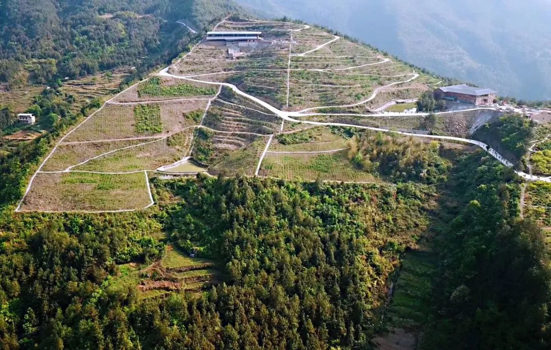 云阳有个生态旅游度假的好地方!_平安镇