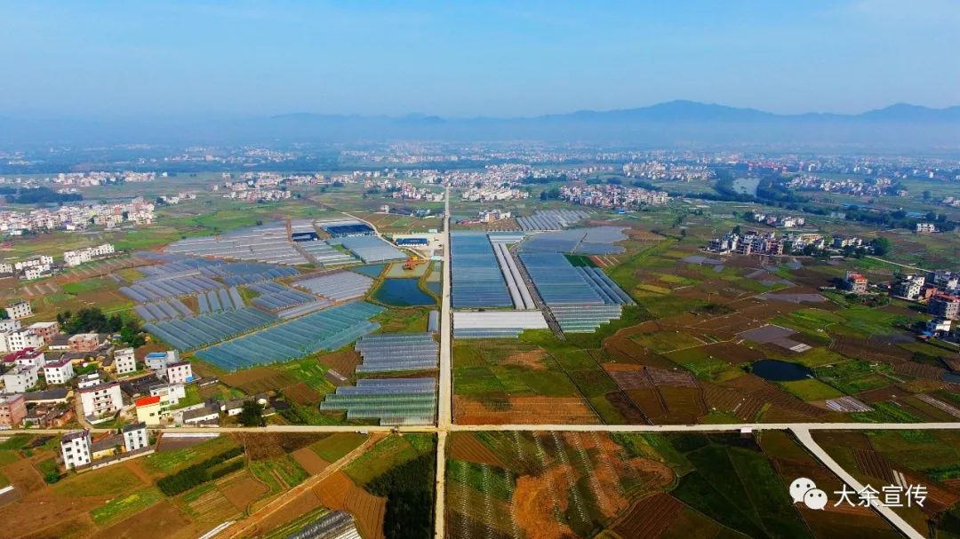 大余个人网站建设资费的简单介绍