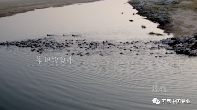 云南台奔赴《睦邻》缅甸的拍摄历程与心得