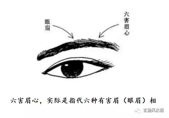 六害眉毛看相图解图片