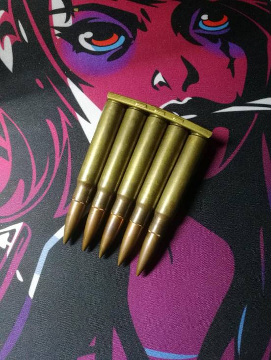 6.5x55mm毛瑟步枪弹图片