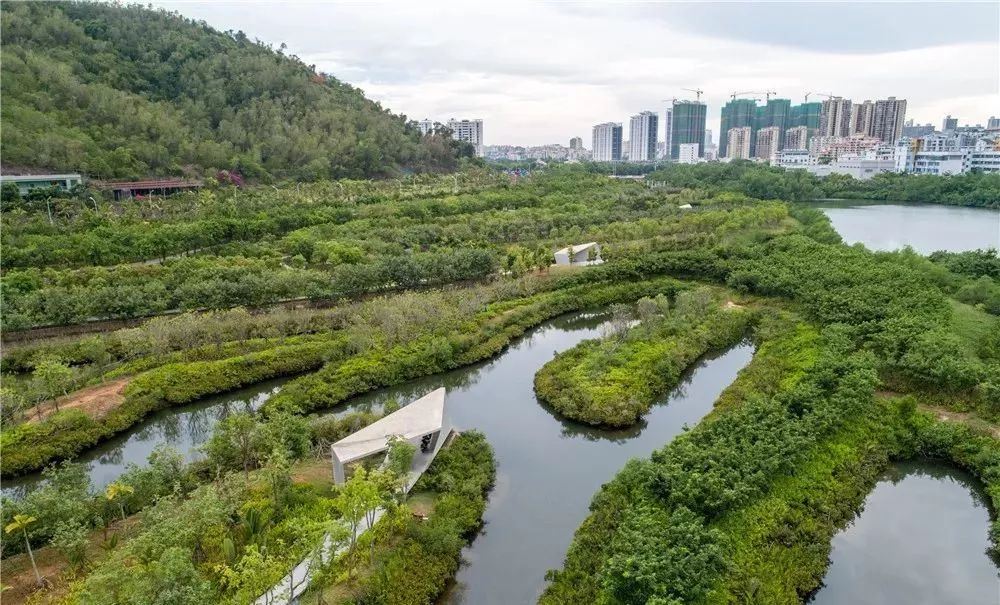 最佳景观奖三亚红树林生态修复工程荣膺国际奖项