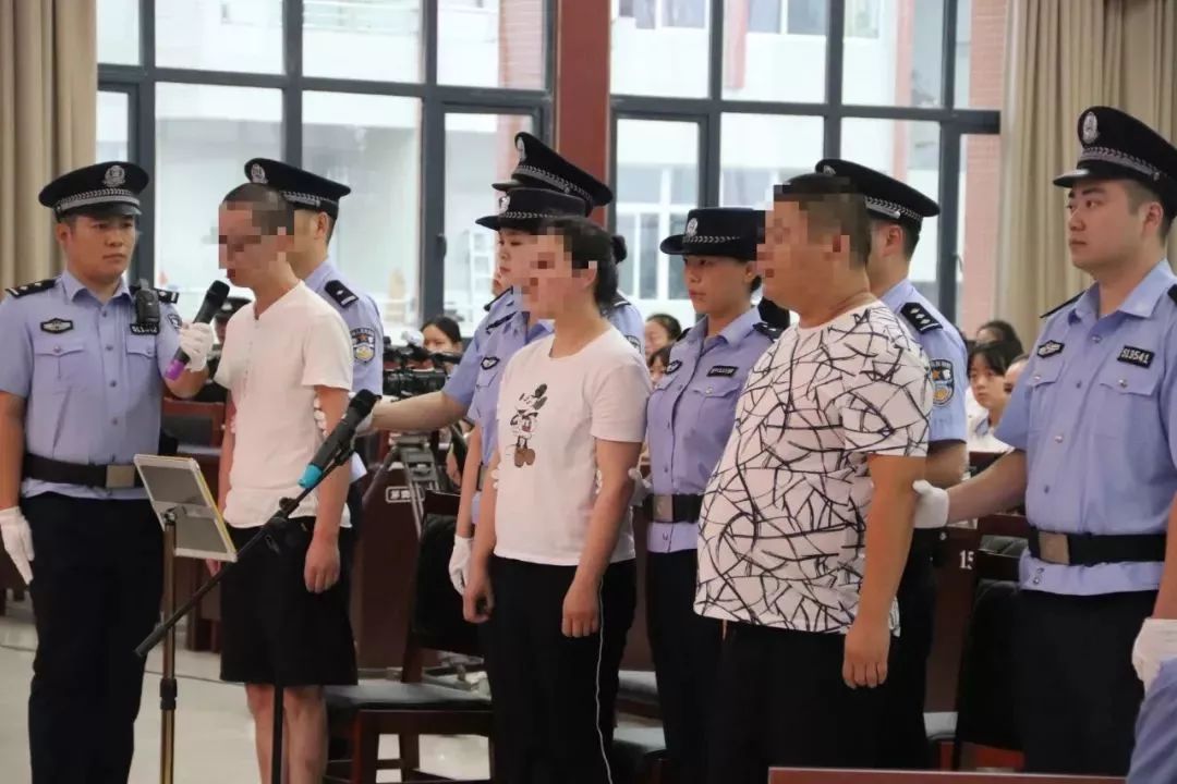 网络全程直播8万多人在线观看阆中将庭审现场晒出来