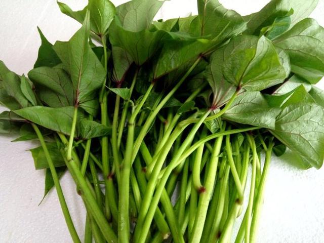 3种吃剩的"菜杆子",丢土里,长成一片"绿萝",3天采摘一大盆