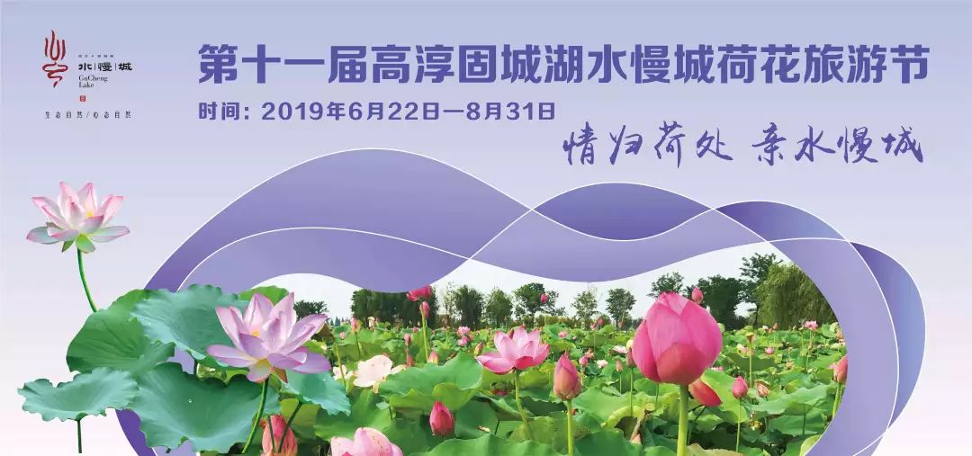 花都开好啦水慢城荷花节开幕今年又有新玩法