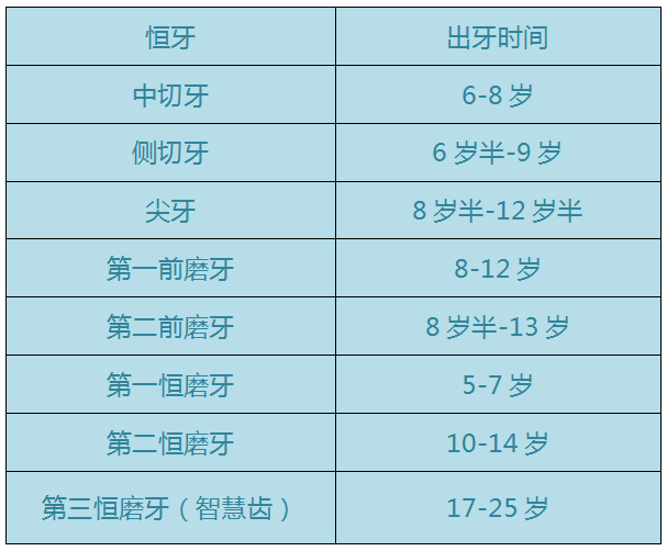 所有牙齿都会换吗图片