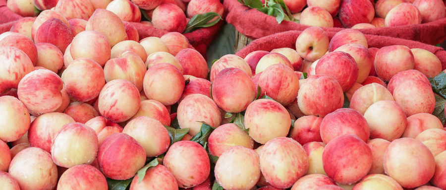 桃子大丰收了,但是果农却不开心,这到底是为什么呢?_水果