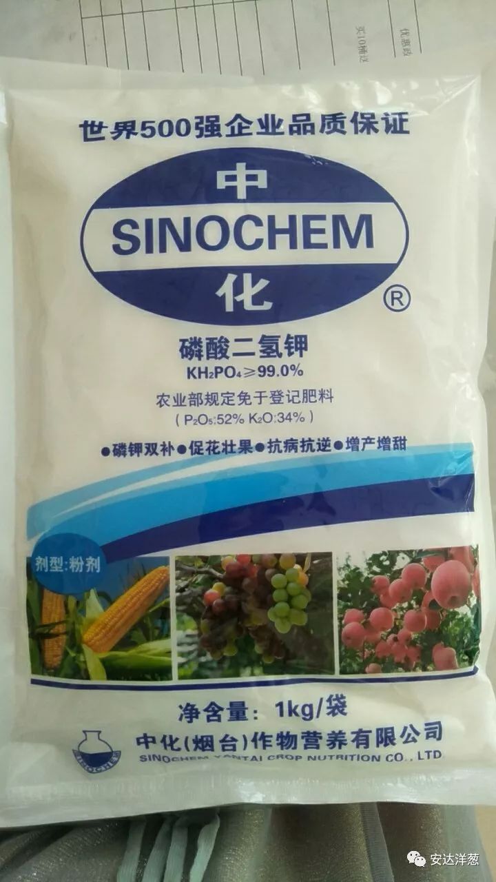 水咚咚,施加收,磷酸二氢钾促根,促生长:浩秀根,益施邦,疫病:阿米多彩