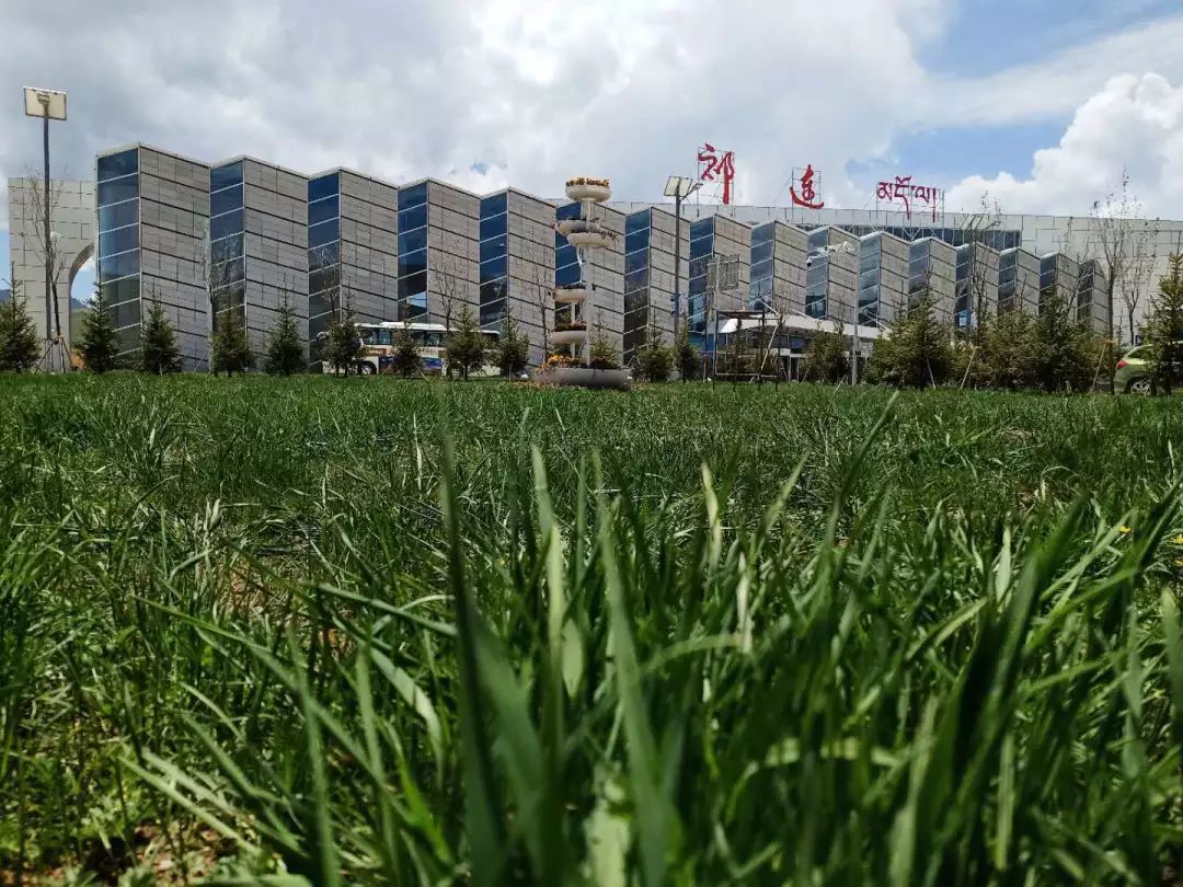 【这样的高原绿色机场,你被"撩"到了么?】