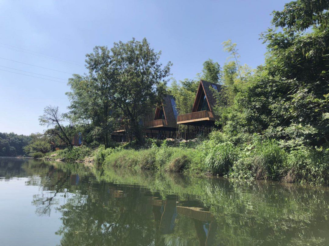 上旅集团婺源树蛙部落6月25日开启乡村振兴发展的种子模式婺源网红新