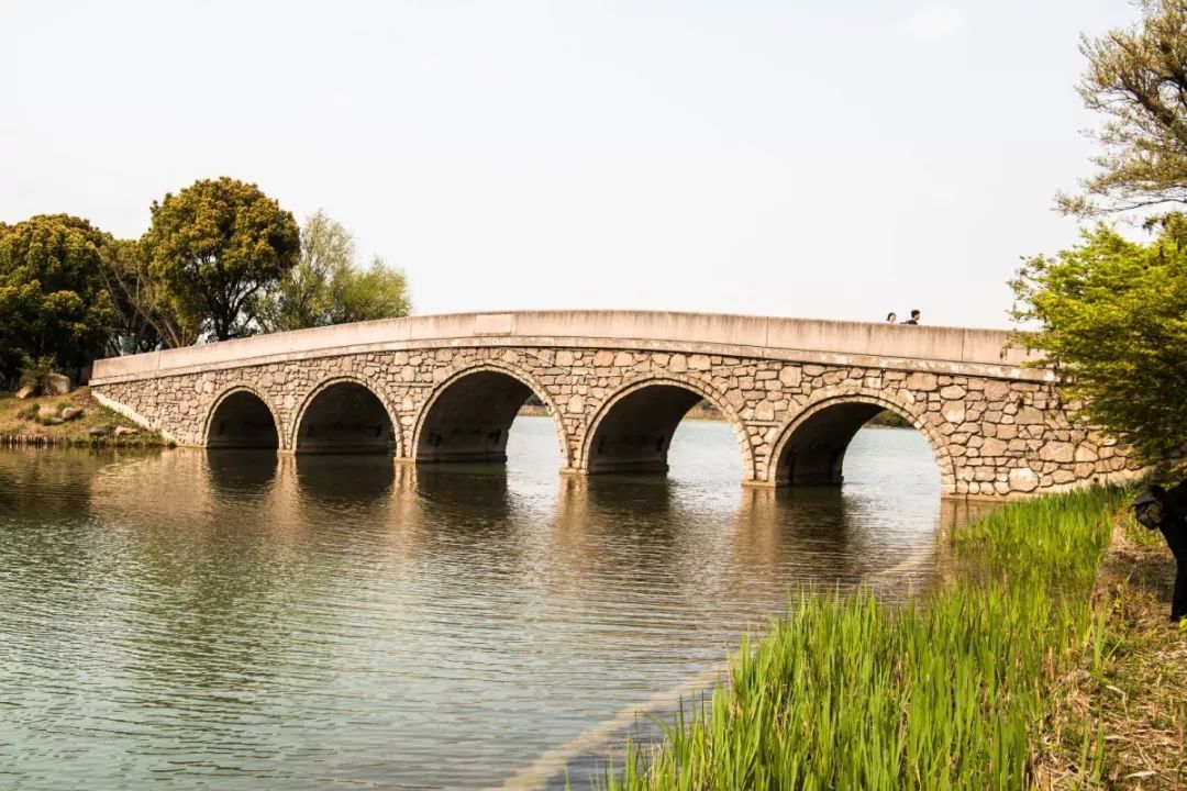 人文花桥丨吾心安处是花桥桥连你我是故乡