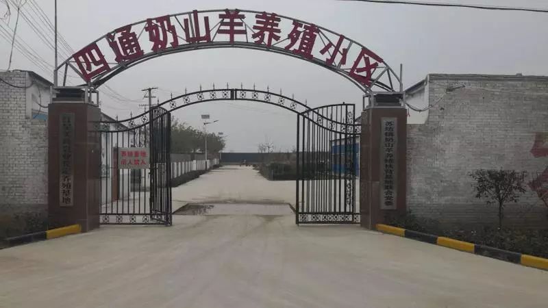 扎根农村  矢志脱贫——记蒲城县苏坊镇党定村第一书记郑杰同志