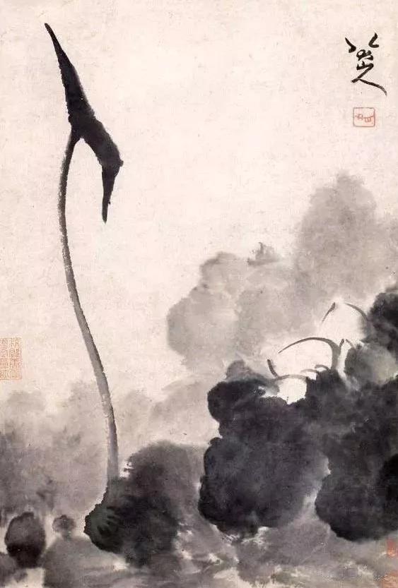 《荷花图》八大山人 荷鸟图八大山人 荷石水禽图朱耷 荷花双禽图朱耷