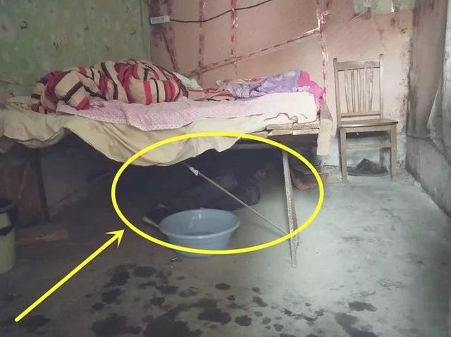 吓人滁州一地女子床底下传来怪声低头一看发现