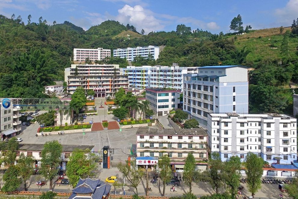 那坡中学2019年高考成绩喜人